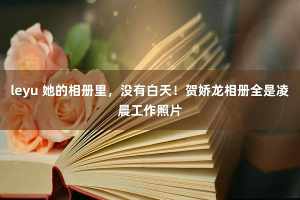 leyu 她的相册里，没有白天！贺娇龙相册全是凌晨工作照片