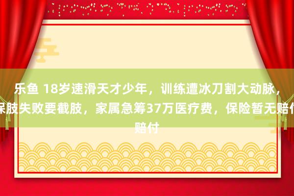 乐鱼 18岁速滑天才少年，训练遭冰刀割大动脉，保肢失败要截肢，家属急筹37万医疗费，保险暂无赔付