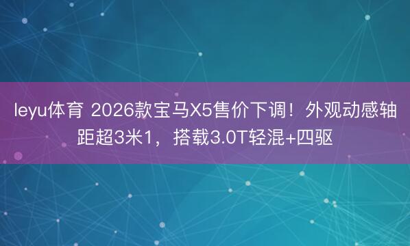 leyu体育 2026款宝马X5售价下调！外观动感轴距超3米1，搭载3.0T轻混+四驱
