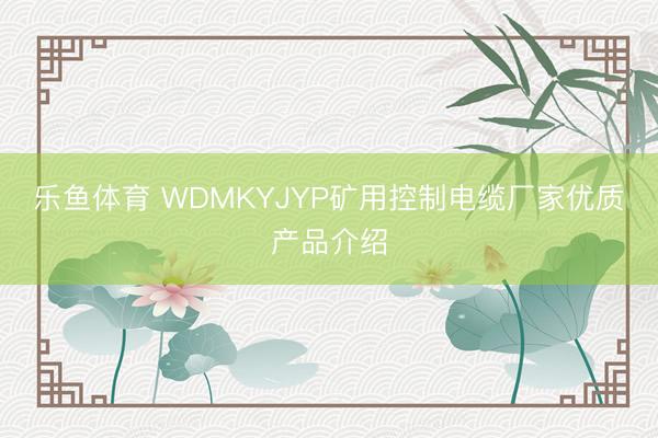 乐鱼体育 WDMKYJYP矿用控制电缆厂家优质产品介绍