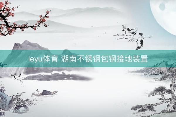 leyu体育 湖南不锈钢包钢接地装置