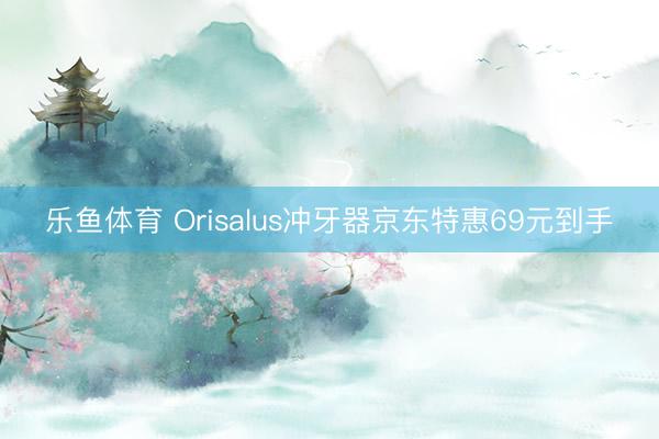 乐鱼体育 Orisalus冲牙器京东特惠69元到手