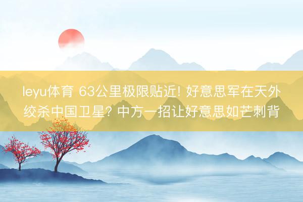 leyu体育 63公里极限贴近! 好意思军在天外绞杀中国卫星? 中方一招让好意思如芒刺背