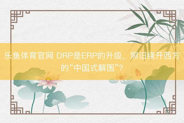 乐鱼体育官网 DRP是ERP的升级,照旧绕开西方的“中国式解围”?
