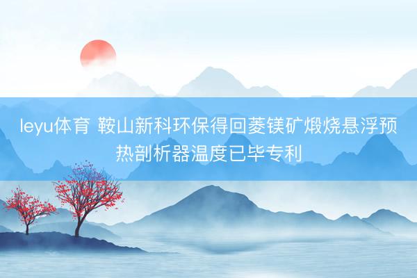 leyu体育 鞍山新科环保得回菱镁矿煅烧悬浮预热剖析器温度已毕专利
