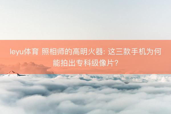 leyu体育 照相师的高明火器: 这三款手机为何能拍出专科级像片?