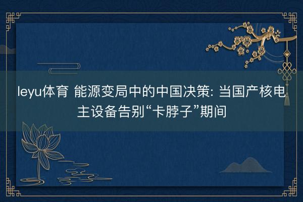 leyu体育 能源变局中的中国决策: 当国产核电主设备告别“卡脖子”期间