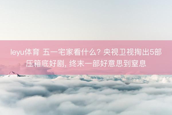 leyu体育 五一宅家看什么? 央视卫视掏出5部压箱底好剧， 终末一部好意思到窒息