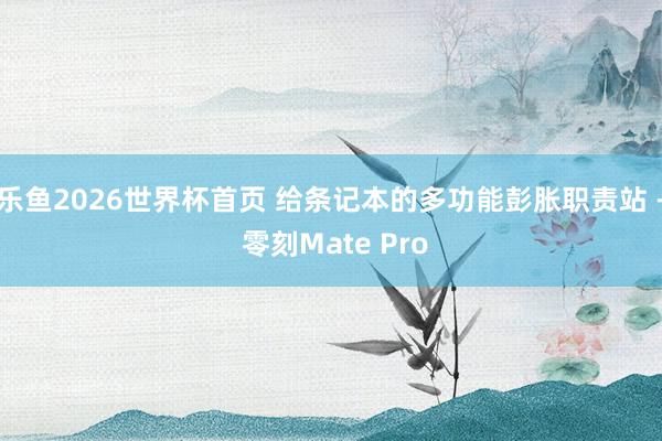 乐鱼2026世界杯首页 给条记本的多功能彭胀职责站 - 零刻Mate Pro