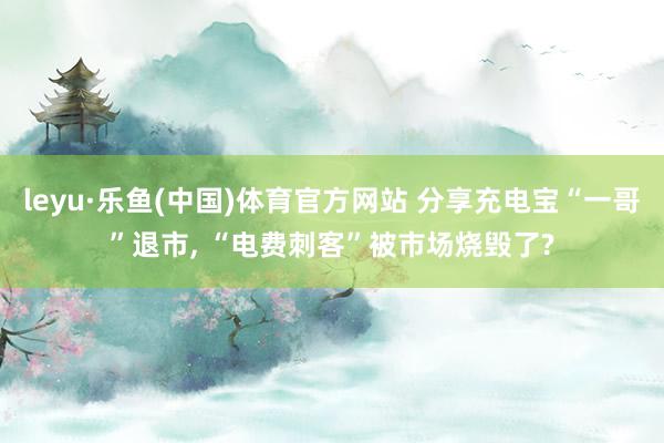leyu·乐鱼(中国)体育官方网站 分享充电宝“一哥”退市, “电费刺客”被市场烧毁了?