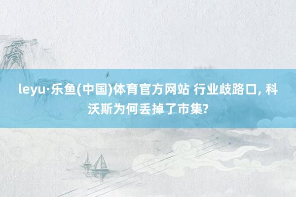 leyu·乐鱼(中国)体育官方网站 行业歧路口, 科沃斯为何丢掉了市集?