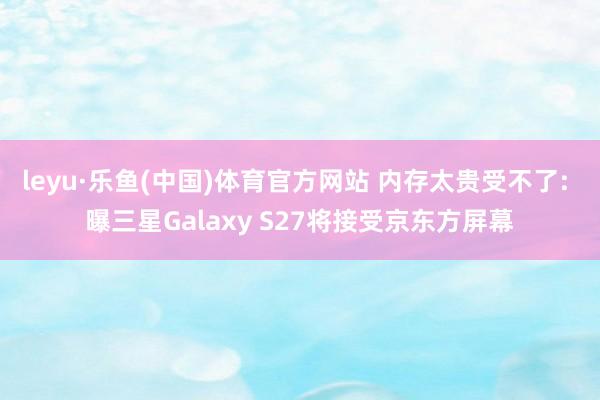 leyu·乐鱼(中国)体育官方网站 内存太贵受不了: 曝三星Galaxy S27将接受京东方屏幕