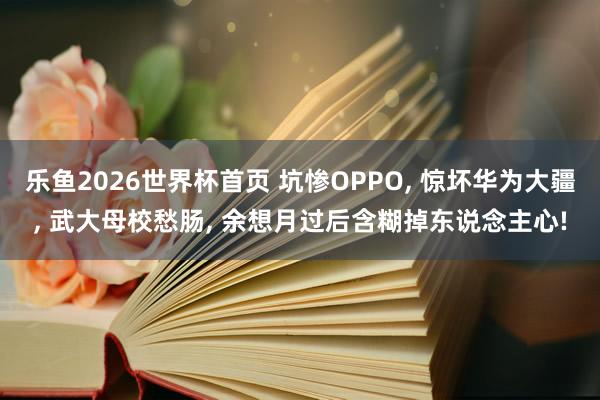 乐鱼2026世界杯首页 坑惨OPPO, 惊坏华为大疆, 武大母校愁肠, 余想月过后含糊掉东说念主心!
