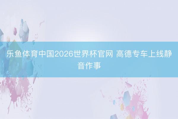 乐鱼体育中国2026世界杯官网 高德专车上线静音作事