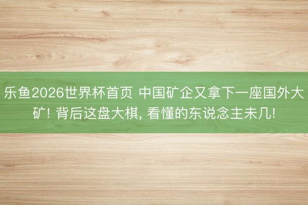 乐鱼2026世界杯首页 中国矿企又拿下一座国外大矿! 背后这盘大棋, 看懂的东说念主未几!