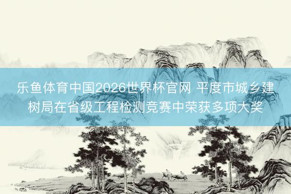 乐鱼体育中国2026世界杯官网 平度市城乡建树局在省级工程检测竞赛中荣获多项大奖