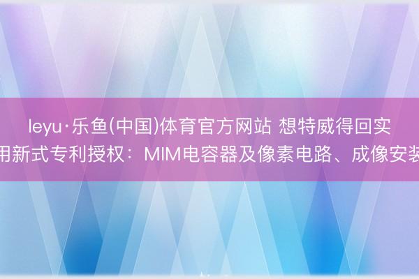 leyu·乐鱼(中国)体育官方网站 想特威得回实用新式专利授权:MIM电容器及像素电路、成像安装