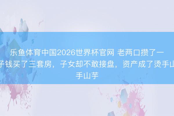 乐鱼体育中国2026世界杯官网 老两口攒了一辈子钱买了三套房，子女却不敢接盘，资产成了烫手山芋