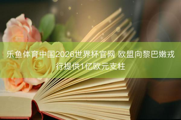 乐鱼体育中国2026世界杯官网 欧盟向黎巴嫩戎行提供1亿欧元支柱