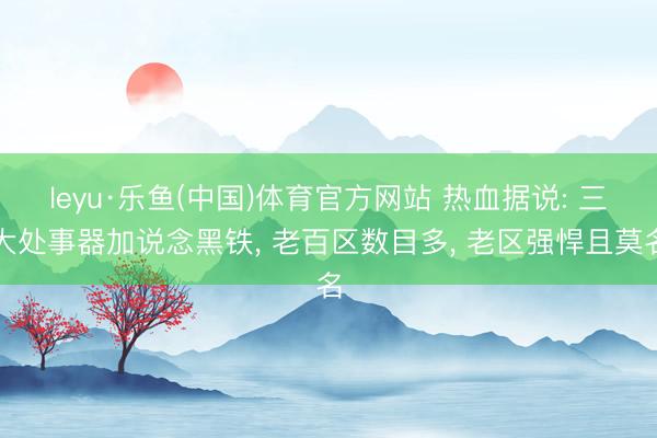leyu·乐鱼(中国)体育官方网站 热血据说: 三大处事器加说念黑铁， 老百区数目多， 老区强悍且莫名