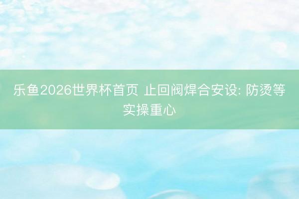 乐鱼2026世界杯首页 止回阀焊合安设: 防烫等实操重心